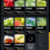 微信图片_20241102093251.png RELX悅刻六代煙彈✨不通用一代 ✨ 全新升級 更醇厚的霧化體驗 💖1.9ML*3顆裝