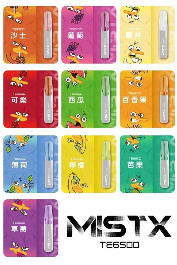 鴨嘴獸拋棄式6500口 便宜好用